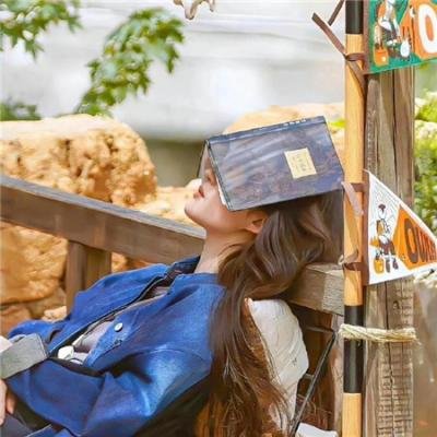 警网:比哈尔邦篇