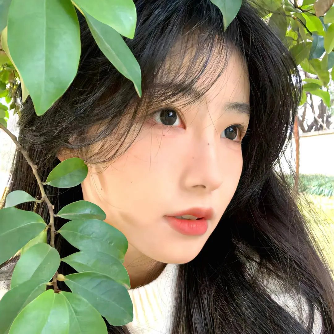 古博士的新发现